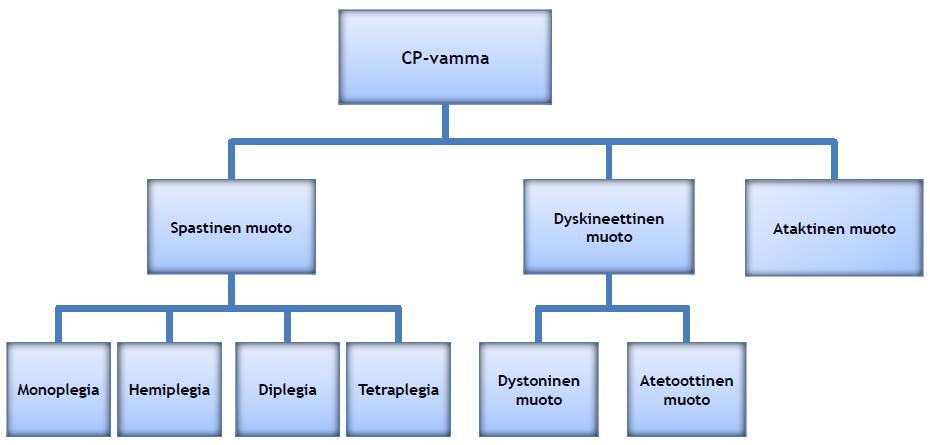 10 vammaisista esiintyy spastista muotoa, 20 25 %:lla on dyskineettinen muoto ja jäljellä olevilla 5-10 %:lla ilmenee ataksista muotoa. (Pountney 2007, 91.