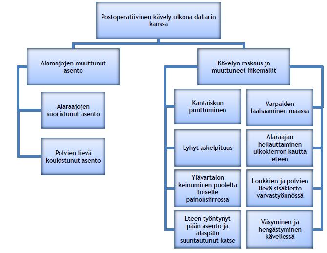 42 Kuvio 9: Postoperatiivinen kävely ulkona dallarin kanssa Tutkittavan alaraajat ovat suorassa asennossa ja polvet eivät osu kävellessä yhteen.