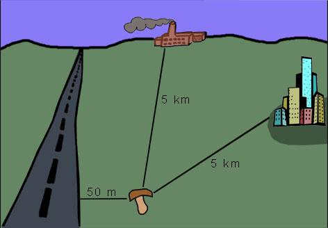 Sienet ja ympäristömyrkyt Älä poimi sieniä lähempää kuin 25 metrin etäisyydeltä maantiestä ja 50 metrin etäisyydellä valtatiestä, alle 5 km etäisyydeltä