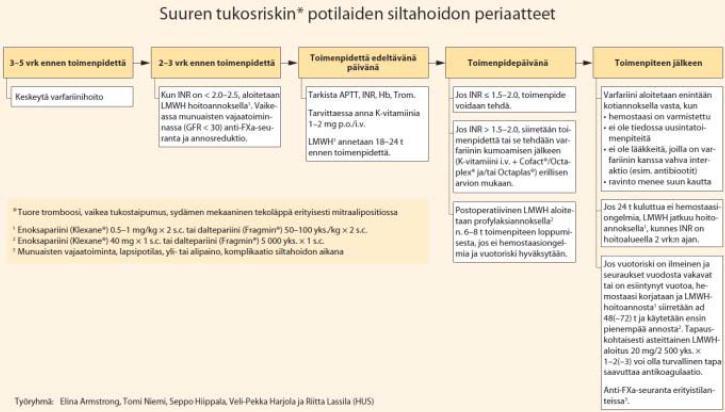 Varfariinin vaikutuksen kumoaminen, ei verenvuodon merkkejä K-vitamiinin anto, 2.