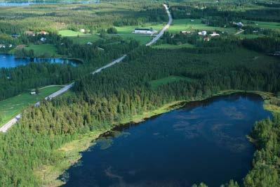 kluuvijärvi rantalehtoineen.