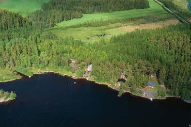 rehevöittämä lampi, runsas