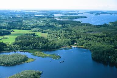 Kortgrundenin keskiosissa kasvaa muutama kuusiryhmä.