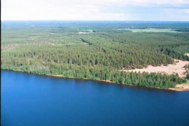 ah Mäntyä