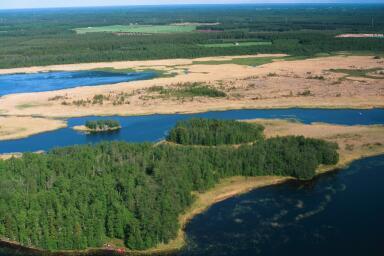 Metsät pääasiassa kuusivaltaisia.