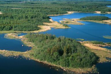 kivikkoinen labyrintti.