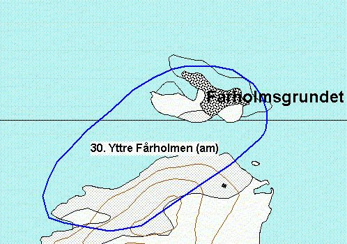 kuusikkoa.