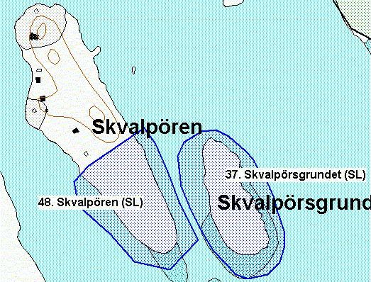 Itämeren pohjoisimmat merihapsikan ja merinäkinruohon