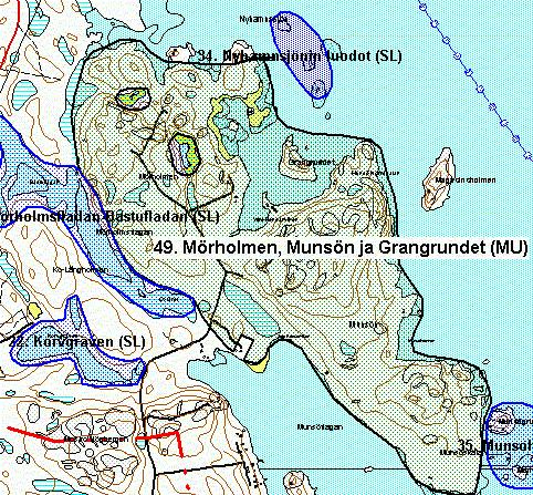 32 49. Mörholmen Munsön Grangrundet MU Edustava rantakasvillisuus, eteläpäässä merenrantaniittyä.