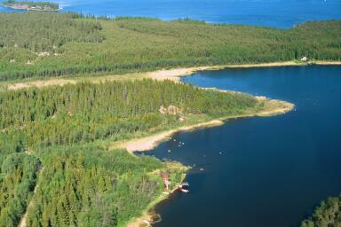 Metsät pääosin nuorta mäntyä kasvavaa talousmetsää. Kallioalueilla harvaa, iäkästä hidaskasvuista männikköä.