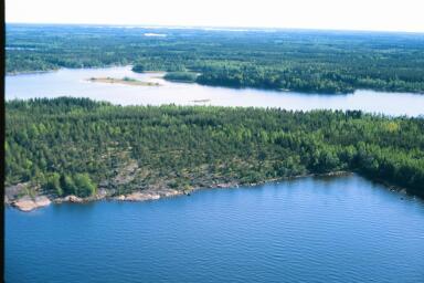 Rantavyöhykkeessä harmaaleppävaltaista lehtimetsää, sisempänä koivuvaltaisen metsän jälkeen, puusto muuttuu alueen keskiosissa