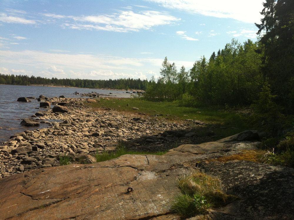 Kuva 4. Säilytettävä rantaniitty. Bild 4. Strandäng som bevaras. Kuva 5.