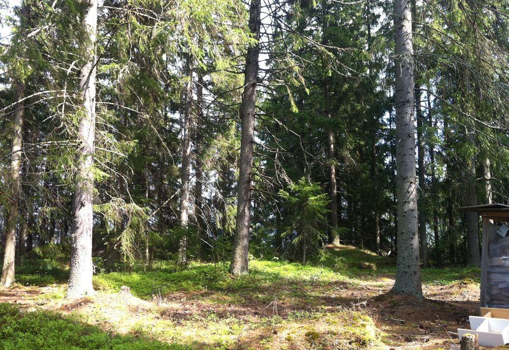 Alue kahdelle uudelle rakennuspaikalle. Bild 8. Område för två nya byggplatser.
