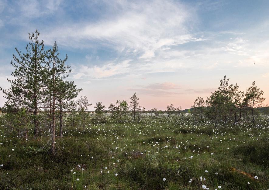 Yhteisen työn kehittäminen tapahtui nuorisokeskusten henkilöstöstä kootuissa tiimeissä.