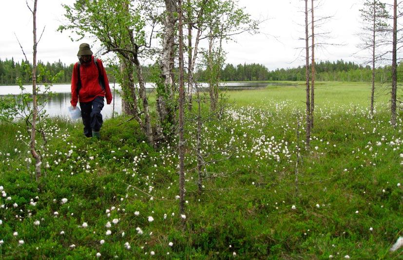 tooppitiedot. Tiedot uhanalaisten lajien esiintymisestä hankealueella sen sijaan ovat vähäiset, puutteelliset ja osittain vanhentuneet.