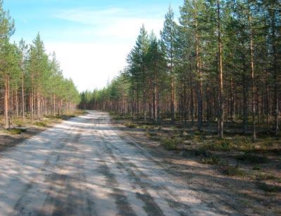 le pintavesi imeytyy maaperään, jolloin muodostuu nk. rantaimeytynyttä tekopohjavettä. Tällä on nykyisessä tilassa merkittävä vaikutus pohjaveden määrään, virtausolosuhteisiin sekä pohjaveden laatuun.