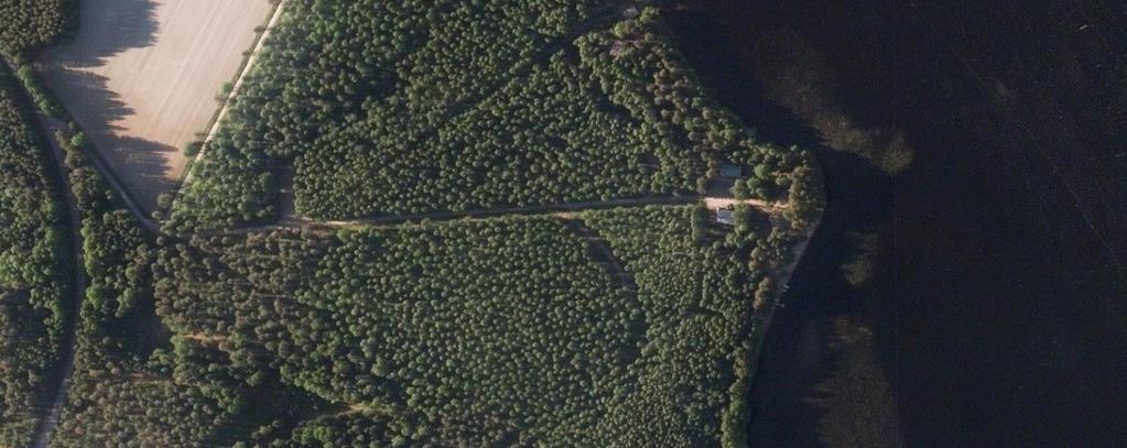 SAARIJÄRVEN KAUPUNKI SUMMASSAAREN RANTA- ASEMAKAAVAN LAAJENNUS Selostus, valmisteluvaihe Kaavaluonnos
