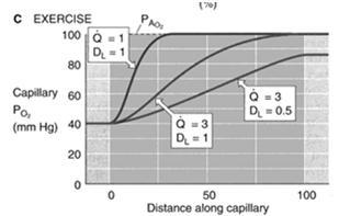 Hypoxemia + HYPOcapnia: Syy 1 Toimivan alueen