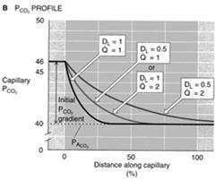 Hypoxemia + HYPOcapnia: Syy 2 Toimivan alueen