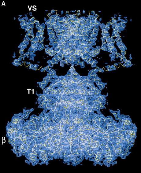 symmetria