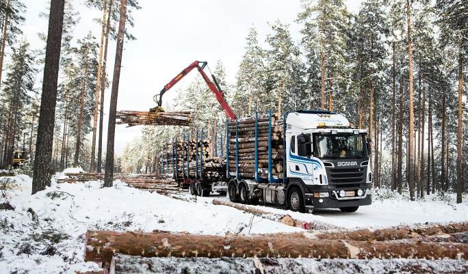 metsätalouteen myös ammattimaisesti, metsätalouden kannattavuuden kasvu Metsäliiton jäsenillä