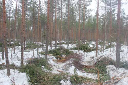 Pienillä ja ketterillä Sampo harvestereilla työjäljestä saadaan osaavien kuljettajien toimesta laadukasta jälkeä.