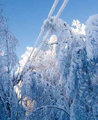 1/2015 13 Puunkorjuu Metsäkeskus innostaa metsänomistajia sähköjohtojen vierimetsien hakkuisiin Oikein hoidetut sähköjohtojen vierimetsät lisäävät merkittävästi sähkötoimituksen luotettavuutta.