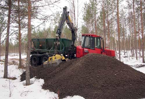 Vuonna 1978 palstalta hakattiin kaikki ainespuun mitat täyttävä kehityskelvoton puusto pois.