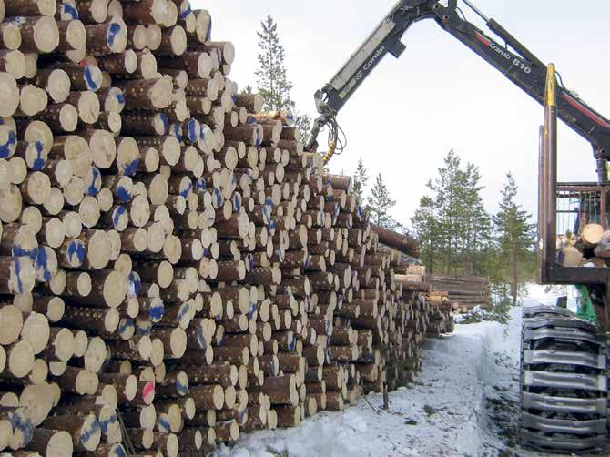 1/2015 9 uutiset Otsolla rajut vähennystarpeet Metsäpalveluyritys Otso aloitti helmikuussa Yt neuvottelut, jossa tarkoituksena on vähentää henkilöstöä saatujen tietojen mukaan jopa lähes sata.