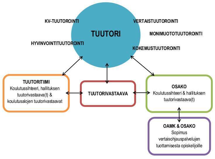 6. TUUTORILLE TÄRKEITÄ YHTEISTYÖTAHOJA 6.1. Opiskelijatuutoritoiminta Oamkissa Kuva 5. Opiskelijatuutoritoiminnan organisaatio Oulun ammattikorkeakoulussa Kuvaan 5.