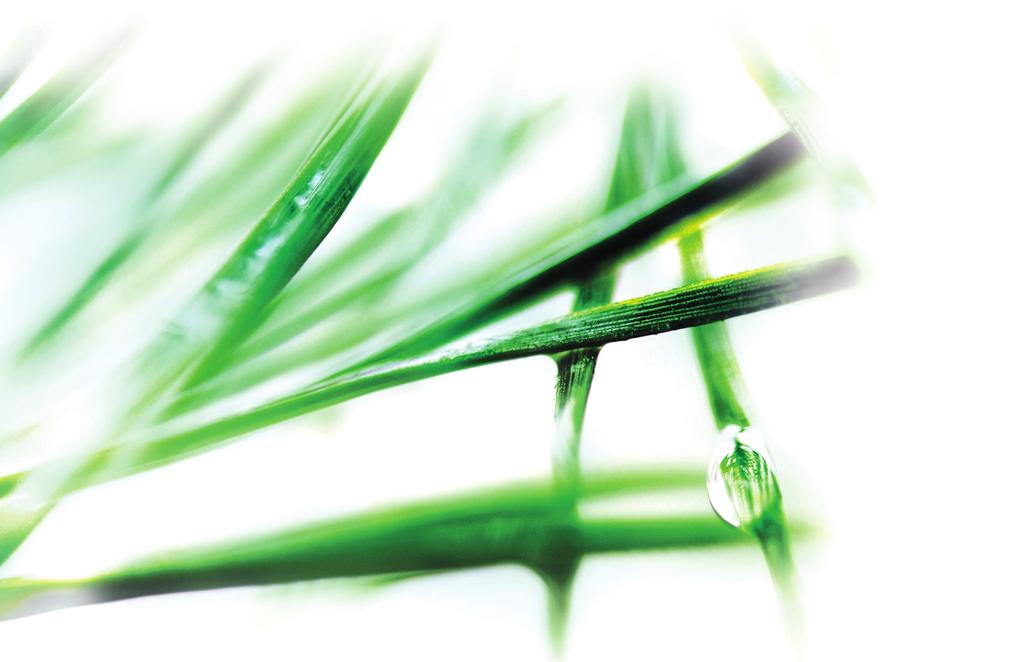 osakkeita Itochu Corporationille. UPM vaati Metsäliitolta ja Metsä Boardilta pääomaltaan 58,5 miljoonan euron suoritusta.