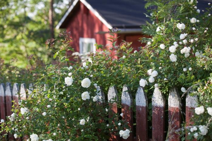 CYCLE TOUR: ARCHIPELAGO TRAIL 2016 Archipelago Trail is a four day circular self-guided cycle tour across Turku Archipelago, one of the most popular cycling routes in Finland.