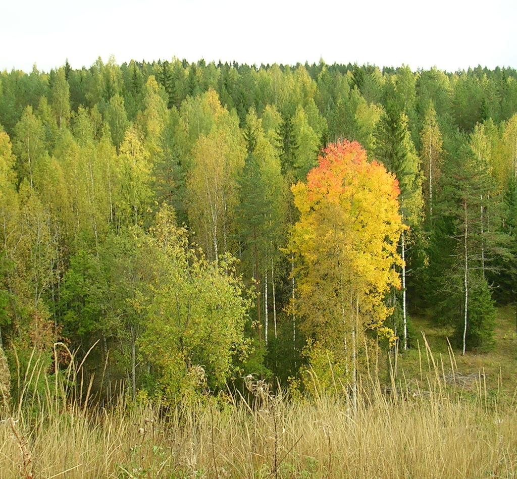 2011 Hämeenlinnan Seudun Vesi Oy,