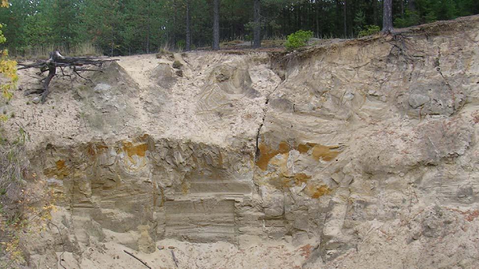 Pohjavesialueiden geologinen selvitys Tenholan, Kerälänharjun ja Parolan pohjavesialueet 13 Kuva 9. Hienoainesleikkaus Marttaristillä. Kuva GTK, T.