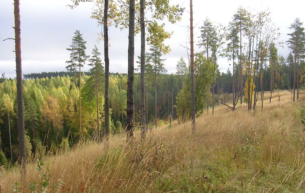 Pohjavesialueiden geologinen selvitys Tenholan, Kerälänharjun ja Parolan pohjavesialueet 3 2 MAASTOTUTKIMUKSET 2.