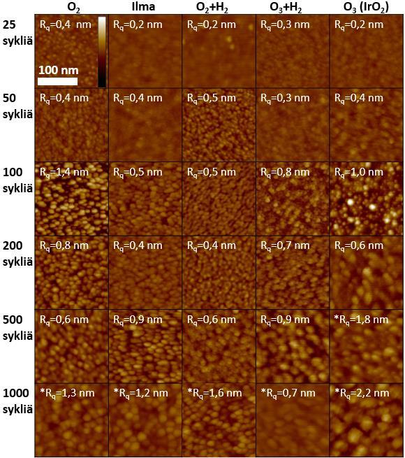 Kuva 47. AFM-kuvia karkeuksineen (Rq) Ir- ja IrO2-kalvoista 25 1000 syklin jälkeen. Kuvien mittakaava on sama kuin edeltävissä SEM-kuvissa.