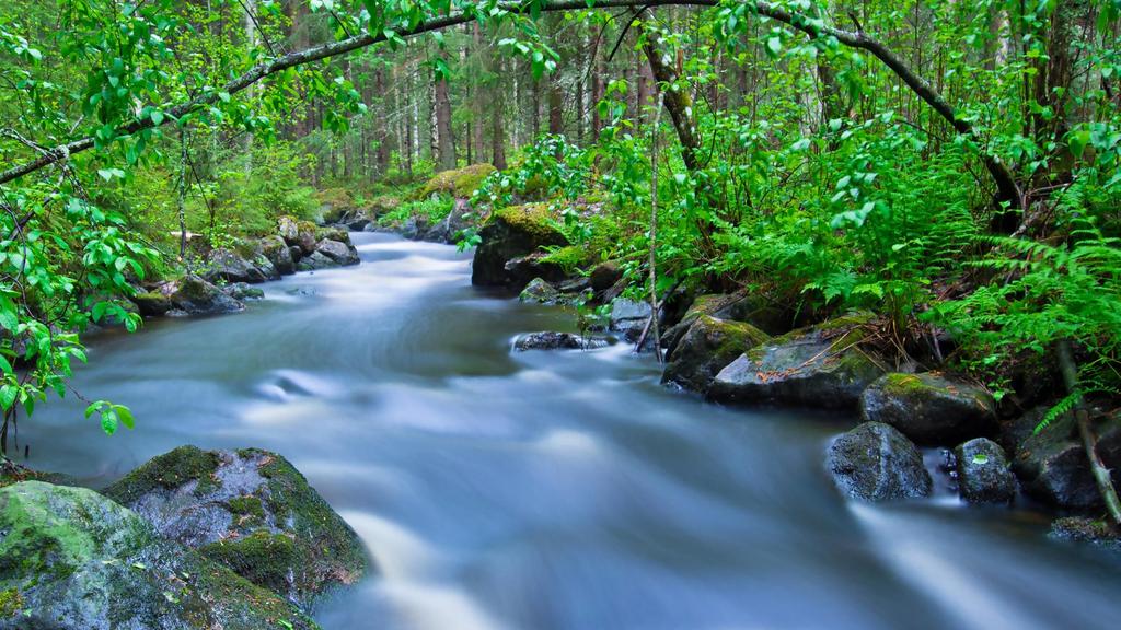 JÄTEKUSTANNUSTEN OIKAISUT JÄTEKERÄYSTEN UUDISTAMISET Palvelemme