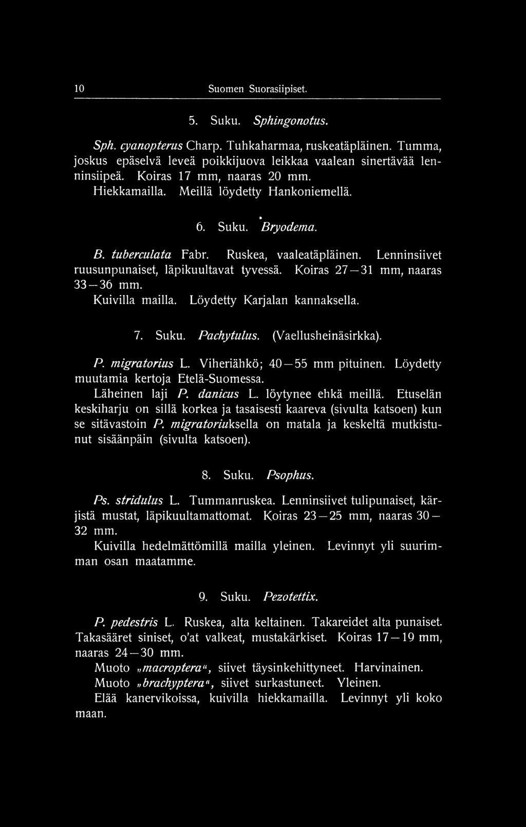 migratoriukse\\a. on matala ja keskeltä mutkistunut sisäänpäin (sivulta katsoen). 8. Suku. Psophus. Ps. stridulus L. Tummanruskea. Lenninsiivet tulipunaiset, kärjistä mustat, läpikuultamattomat.