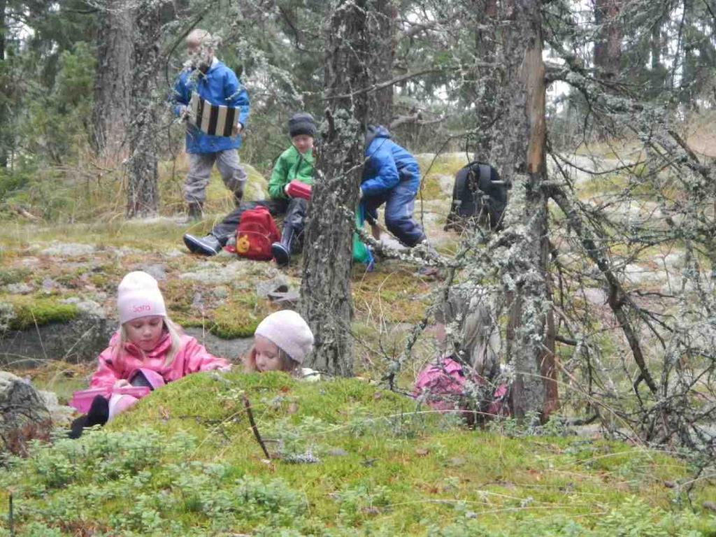 Vaasan yleiskaavassa 2030 nykyisiin metsäalueisiin kohdistuu muuttavaa maankäyttöä erityisesti Gerbyn, Västervikin, Bölen, Öjenin, Risön, Liisanlehdon ja Höstveden alueilla.