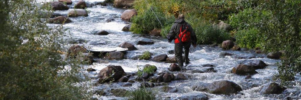 [liipa, vay] Kalastus keskitetään jokialueille purojen toimiessa poikastuotantoalueina.