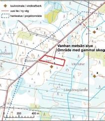 läheisyydessä edustavinta vanhaa kuusikkoa esiintyy on voimalan 3 pohjoispuolella. Paikalla on vuonna 2008 tehty havaintoja liito-oravista (Tuomisto 2008).