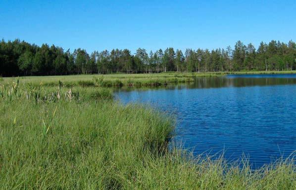 Haikenpottenia ympäröi laajahko Haiknemossenin suoalue, josta valtaosa on ojitettu. Haikenpottenin etelä- ja länsipuolella on kuitenkin jäljellä myös ojittamattomia suoalueita.