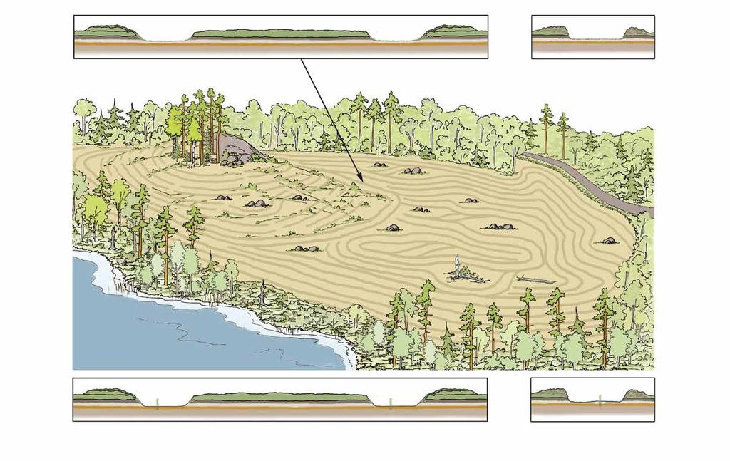 Metsänhoitomenetelmien kuvaukset Kuva 28. Uudistusala on kuivahkoa kangasta ja maalaji vaihtelee keskikarkeasta karkeaan. Alue uudistetaan männylle kylväen, mutta vaihtoehtona voisi olla myös istutus.