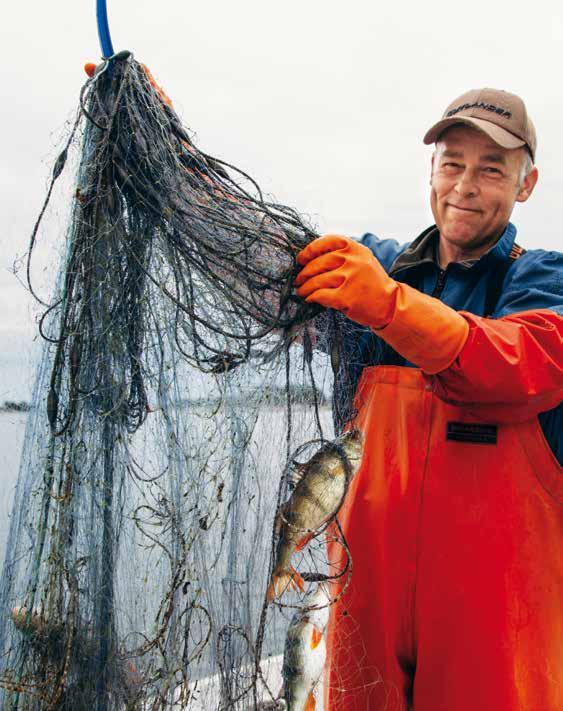 Stenskärin saarella asuva ammattikalastaja Agneta Jansson ja hänen miehensä Jarmo Ylitalo (yllä) kalastavat yhdessä päivittäin.