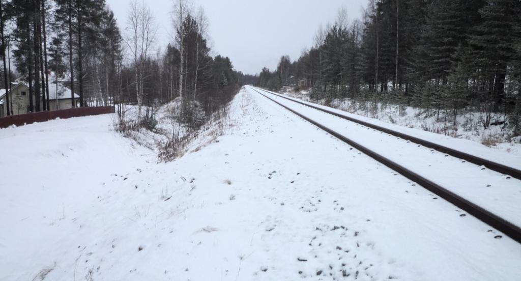 80 Kuva 6.8. Tornion kohteen 945 monitorointiasema sijaitsee rinnemaastossa. Kuvan näkymä on pohjoiseen päin. Kosteusanturit asennettiin joulukuussa 2009, jolloin maa oli jo osin routaantunut.