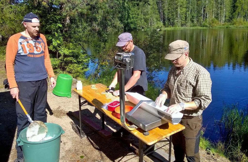 T-ankkurimerkintään tarvitaan kolmen hengen tiimi 500