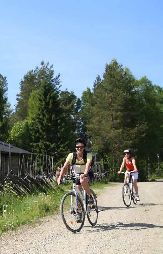 RYHMÄRETKIVINKKEJÄ MATKATOIMISTO MATKASAVO Matkasavo on vuonna 2012 perustettu yksityinen täyden palvelun matkatoimisto.