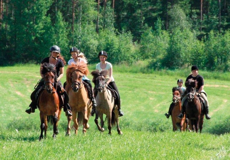 Pelastakaa Lapset ry Lasten yhteisöllinen ryhmätoiminta - Ensimmäiset pilotit 2014 - Purola Farm luomuviljely, ratsastus- ja matkailutila.