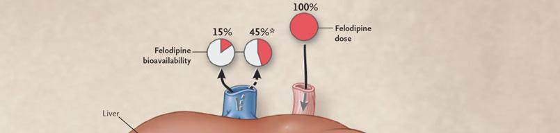 Hyötyosuus 15% Felodipiini Suun kautta otettu annos 100% CYP3A4-induktion vaikutus kalsiuminestäjiin Odotettavissa oleva AUC-lasku