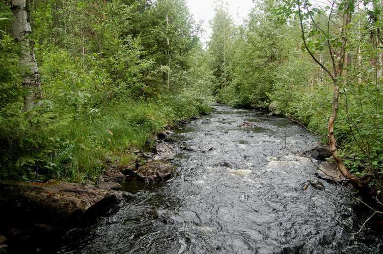 metsäkoneuria, jota myöten soran kuljetus traktorilla on